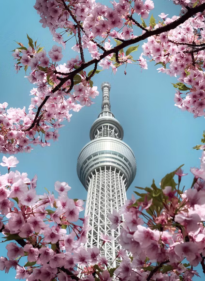 Tokyo Skytree, one of the top attractions included in Japan tour packages for breathtaking city views.